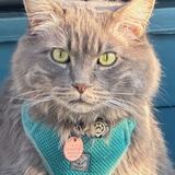 Tracker's Pet Supply