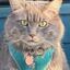 Tracker's Pet Supply